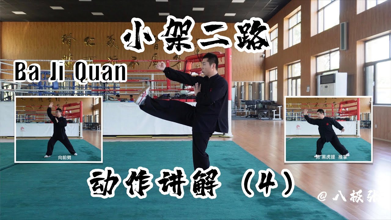 Blow! XiaoJiaErLu Detail 4【Martial Arts/Kung Fu】Baji Quan Tutorial Session 5 Form 2: 八极拳教学 小架二路 讲解4