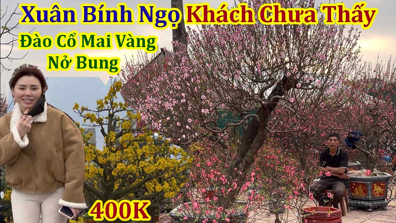 Kinh Doanh Hoa Tết 2026 - Ế Thê Thảm Chợ Hoa Xuân Cổ Linh Long Biên