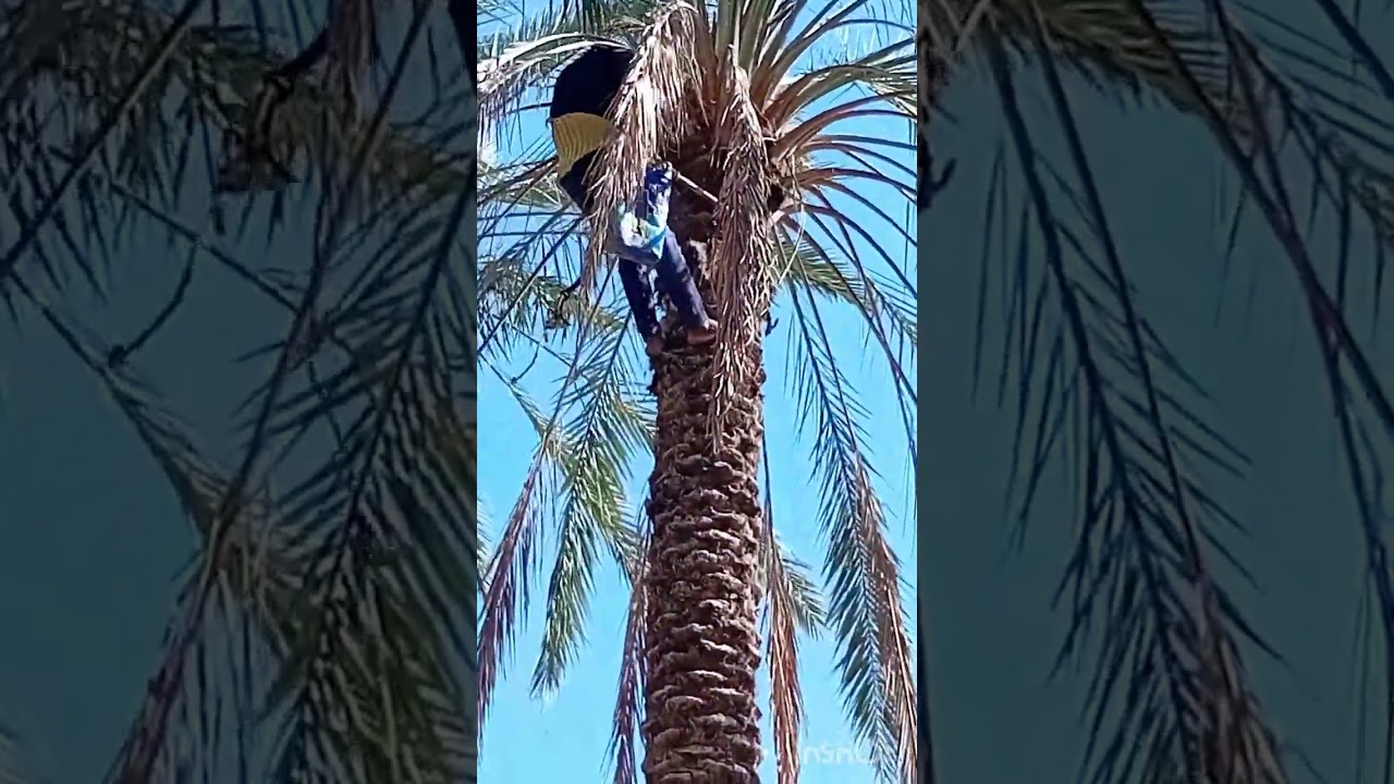 کانال‌ روستا‌ دران‌ کارهایی‌ که‌ توروستا‌ انجم‌ میشه‌ بحث‌ میکنیم