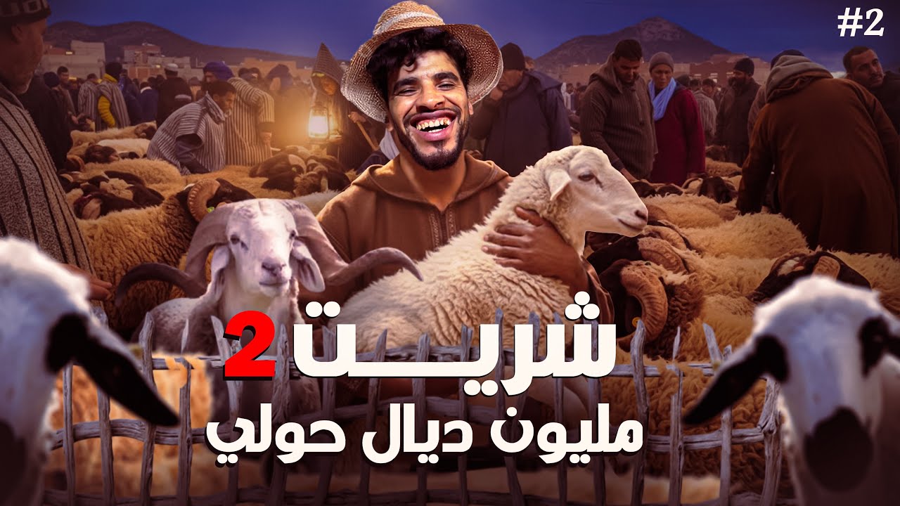 خسرت جوج مليون في لحوالا😱🐑🤑