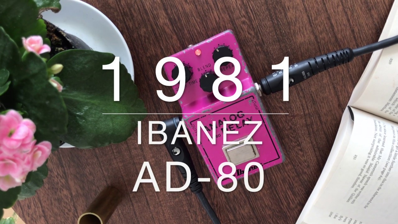 1981 Ibanez AD-80