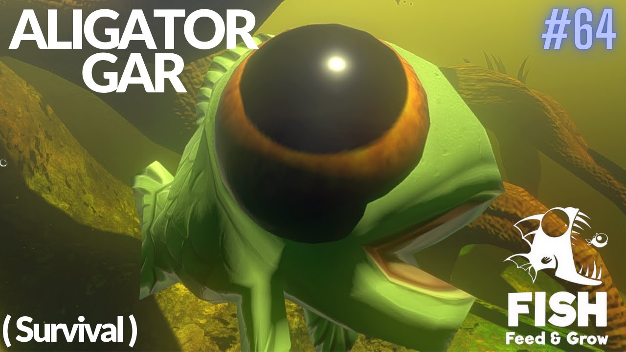 Feed And Grow Fish : Aligator Gar (Survival)
