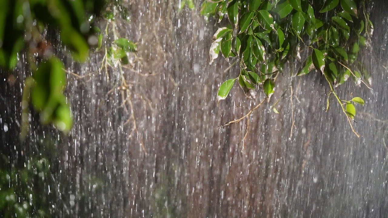 Fall Asleep in Under 1 MINUTE with Heavy Rainstorm and Deep Thunder - Real Rain Sounds for Sleeping