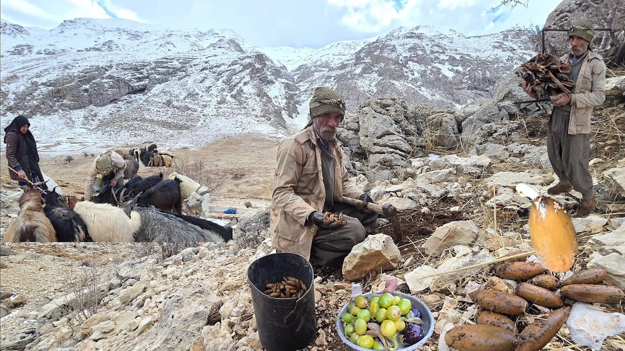 Nomadic Life in the Snow: Planting Oaks and Battle with the Cold in the Mountains