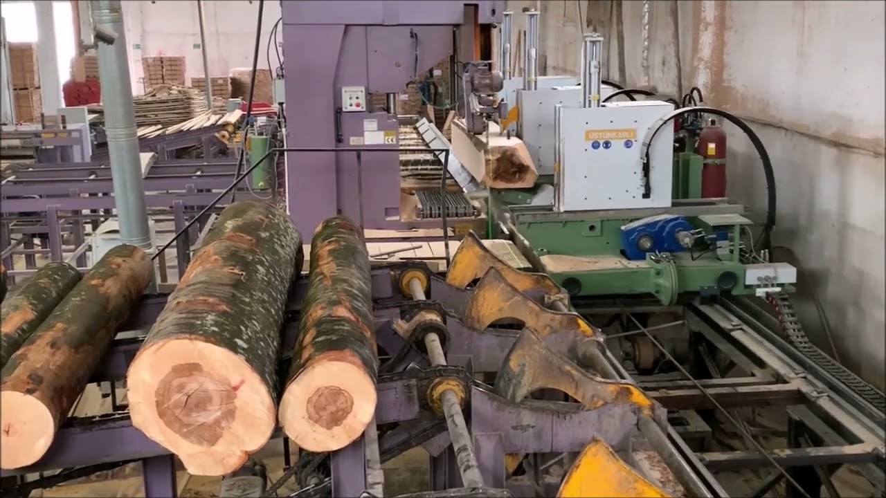 Linie debitare bustean USTUNKARLI 1600   cherestea de fag   Bandsaw 1600 mm cutting Beech wood