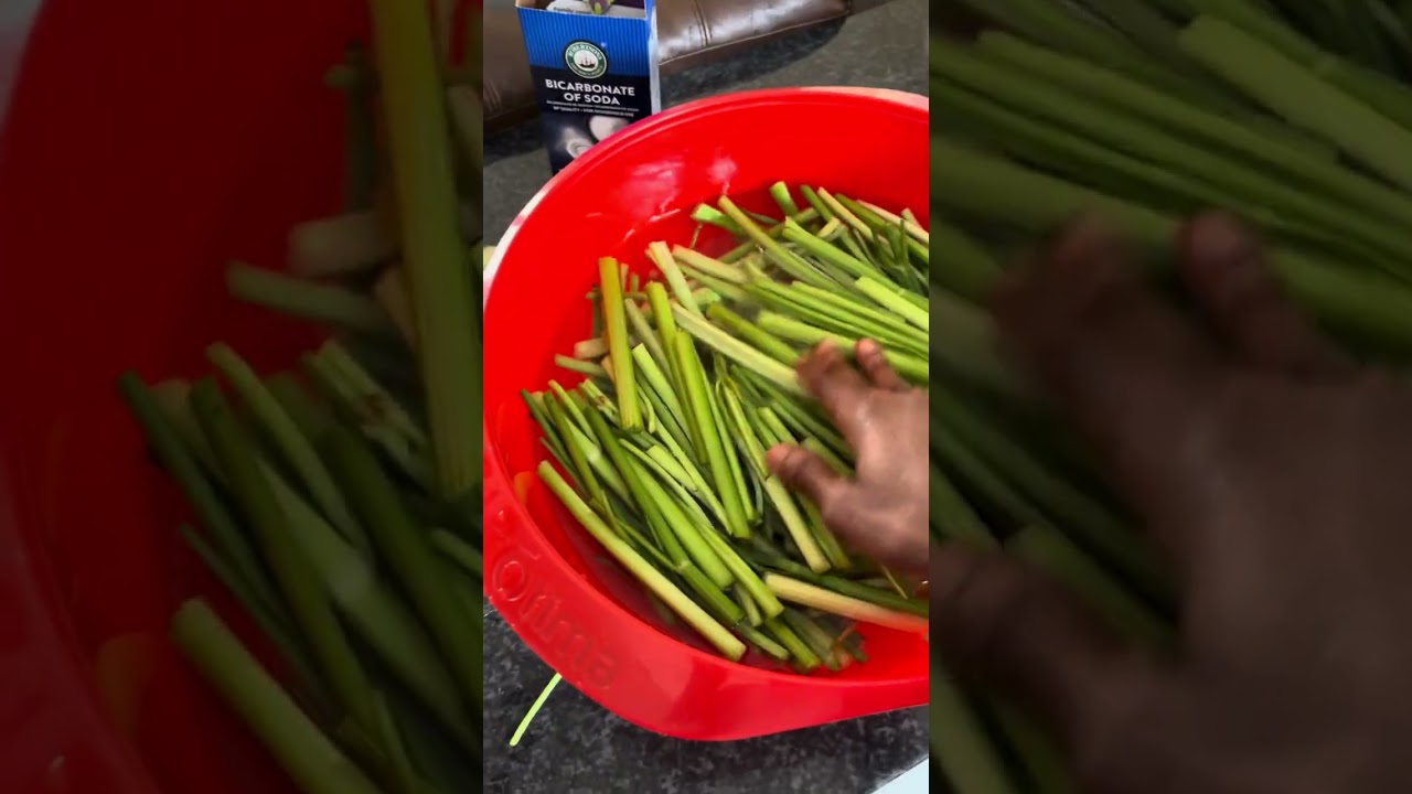 Part 1 of my Celery Juice making vlog🌱