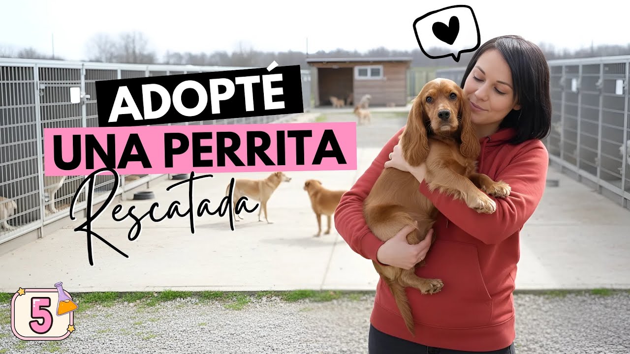 ADOPTÉ una perrita 🐶 que llevaba 5 AÑOS dentro de una JAULA 💔