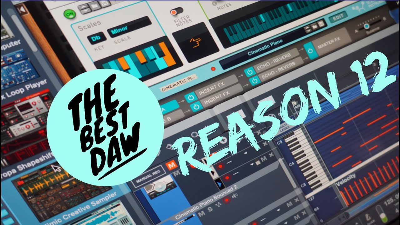 Reason 12 | 💻