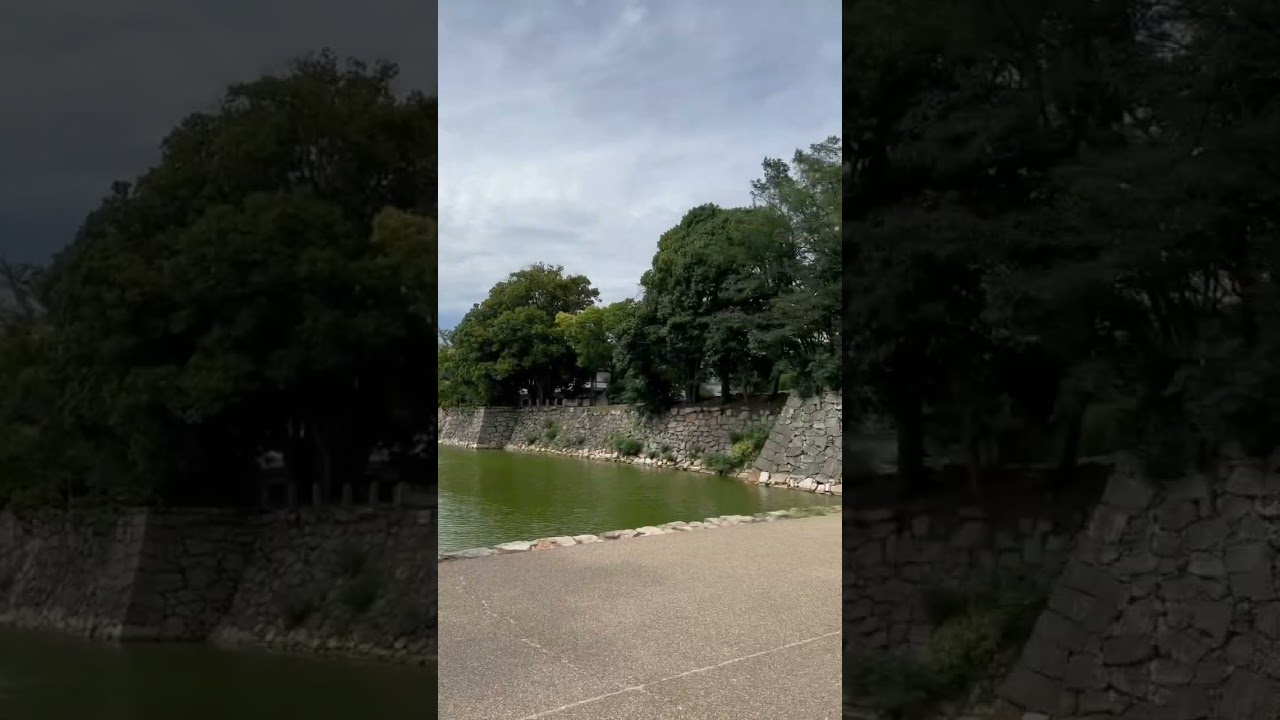 Hiroshima castle.🏯I think castle is good for jogging or excercise bcz they basically have a park☺️