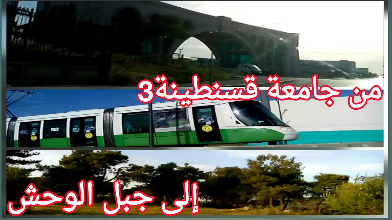 جامعة صالح بوبنيدر-جامعة قسنطينة 3 - جبل الوحش، أعلى نقطة بقسنطينة