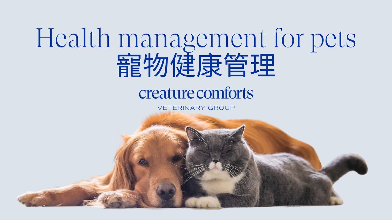 Creature Comforts Veterinary Group- Dr Kaylen: 寵物健康管理