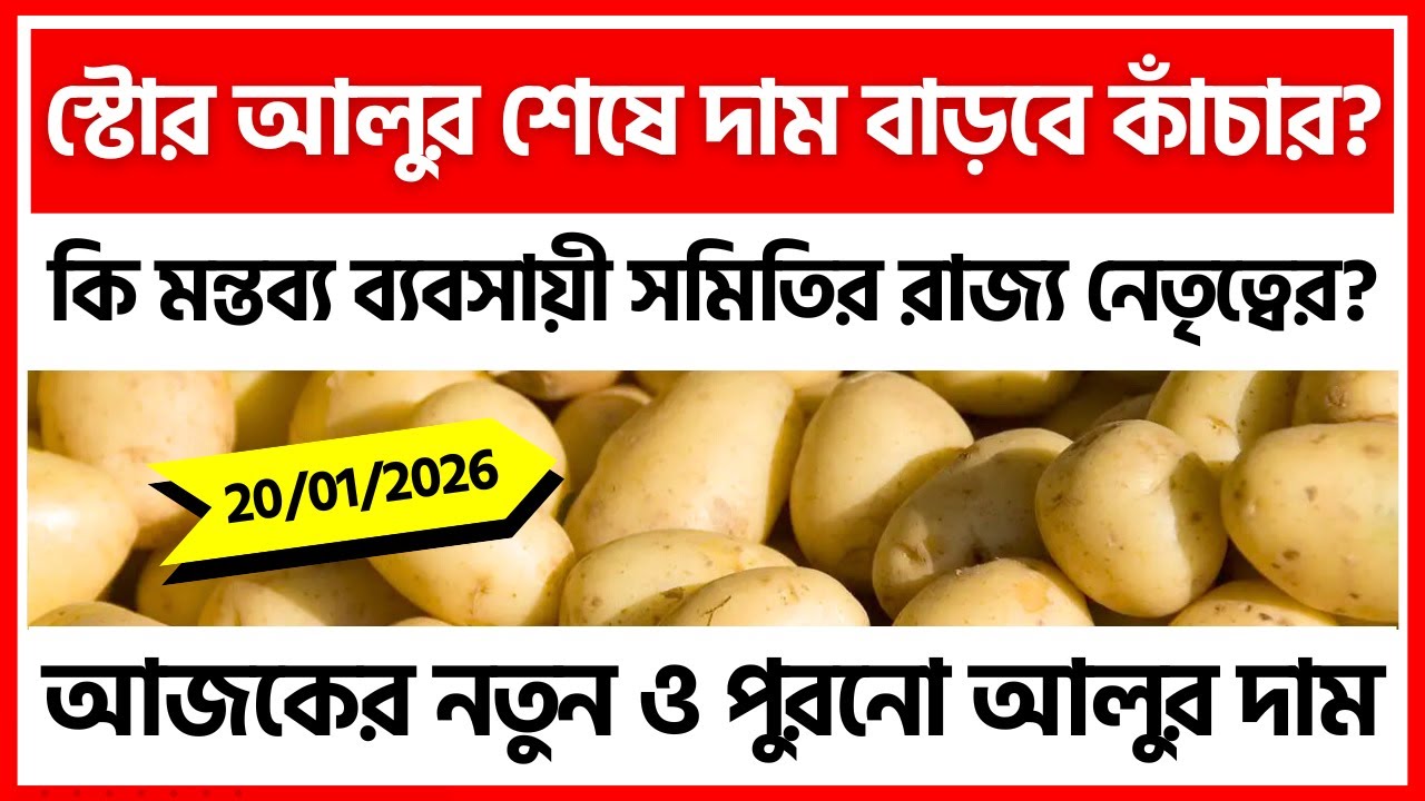 20/01/2026 : বর্ধমানের আজকের নতুন আলুর দাম | Today's Potato Price in Burdwan - India Potato News