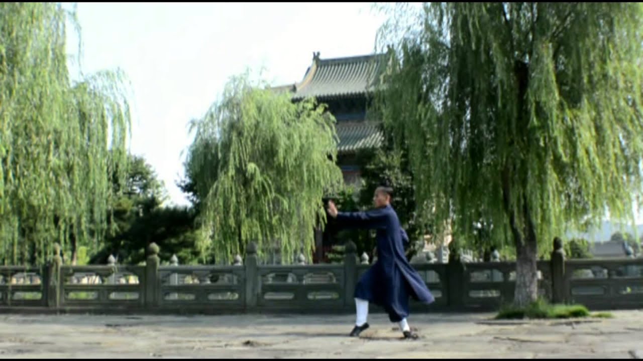 Wu Dang Xuan Wu Quan--武当玄武拳 谈善魁