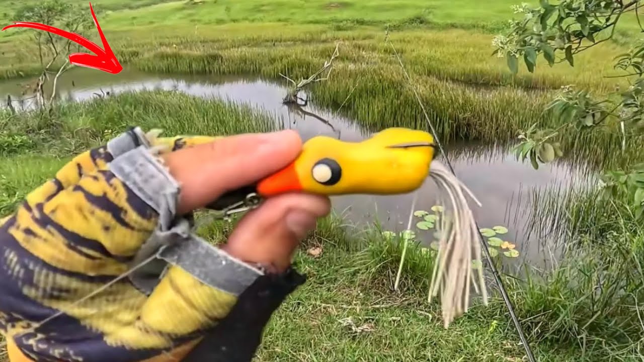 PATO ARTIFICIAL FOI DEVORADO NO CÓRREGO DAS TRAÍRAS!!!