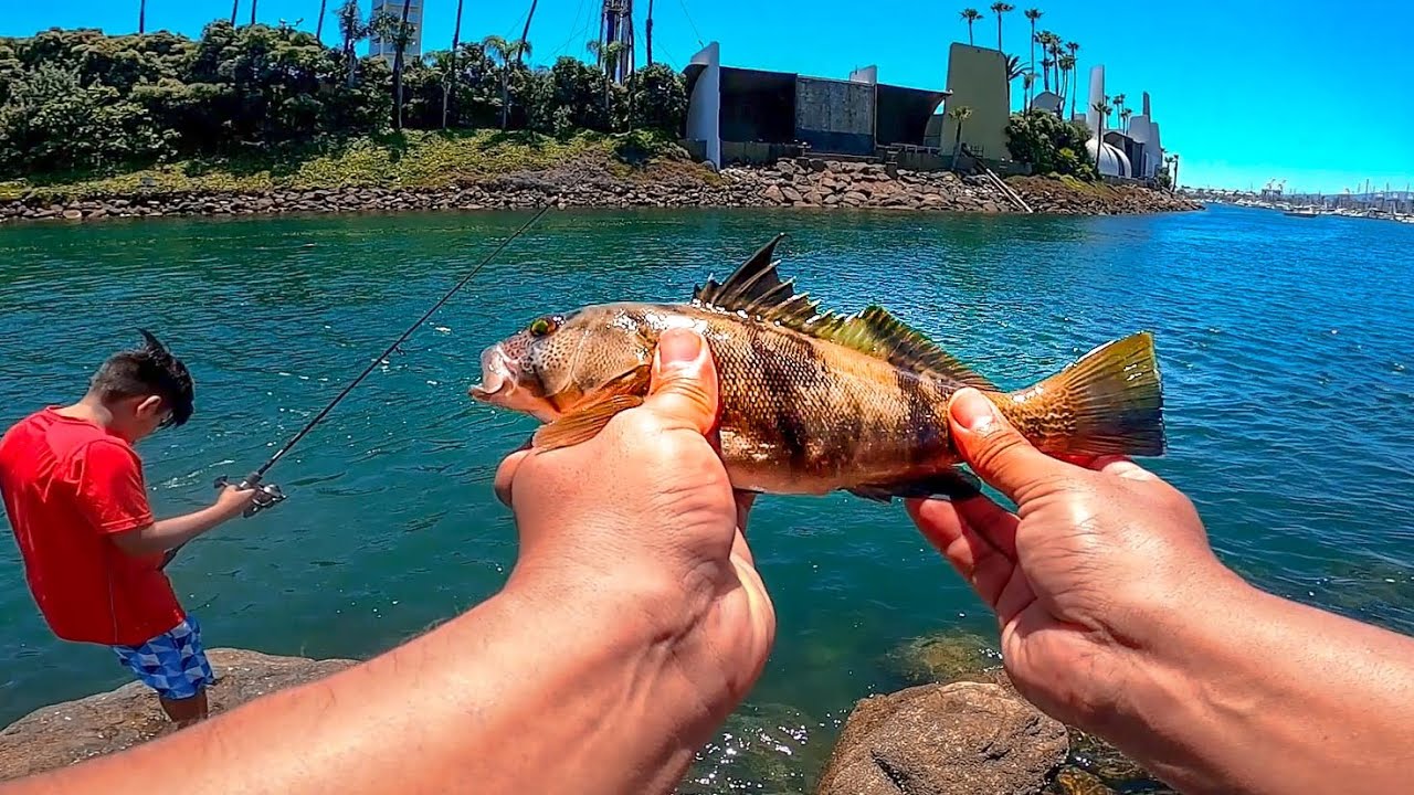 11 Calico Bass 1 Sand Bass fishing Alamitos Beach jetty Long Beach