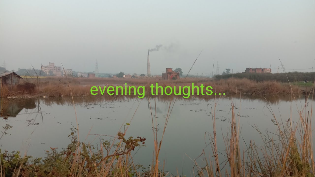 Evening thoughts.