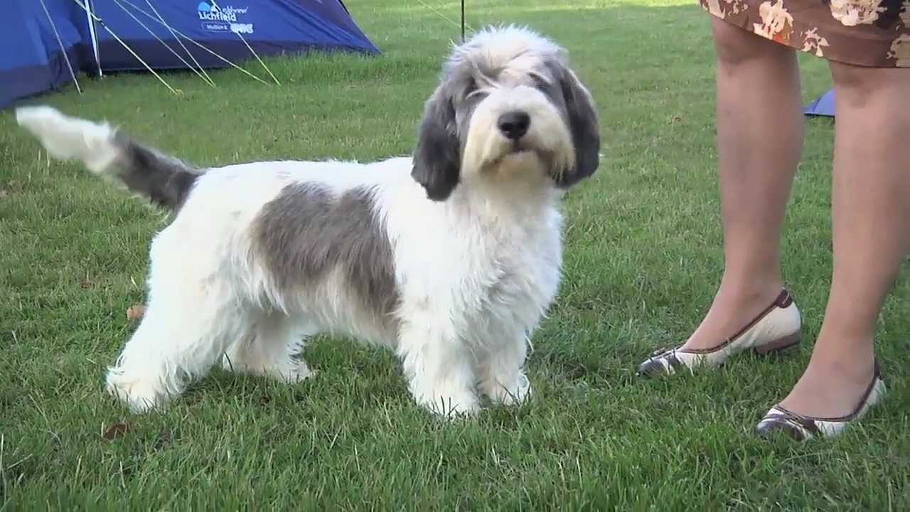 Around the Dog World - Best of 2011 - Episode 3
