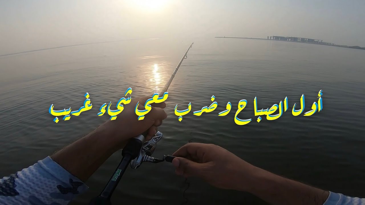أول الصباح وضرب معي شيء غريب - المنتب
