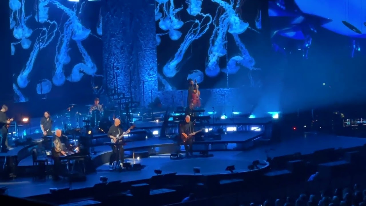 Peter Gabriel LIVE - Lanxess Arena Köln - 10.06.2023 - Olive Tree (NEU)