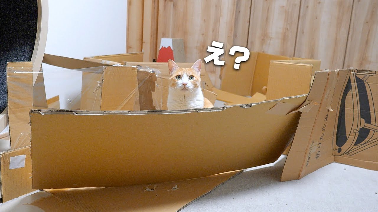猫たちが大好きだった遊び場を解体することになりました
