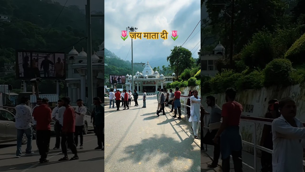वैष्णो देवी यात्रा 2 September🙏🏻 #vaishnodevi #vaishnodeviyatra #jaimatadi #youtubeshorts #shorts