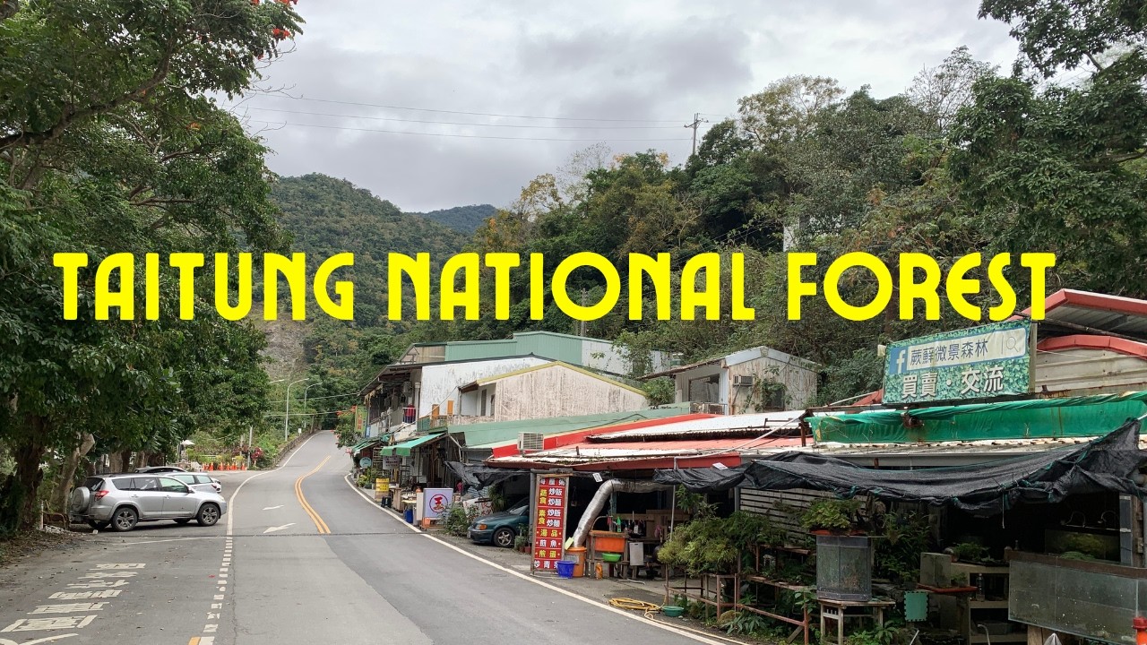 Taitung National Forest Park Bike Adventure | Bus Ride, Mountain Trails & Rural Taiwan