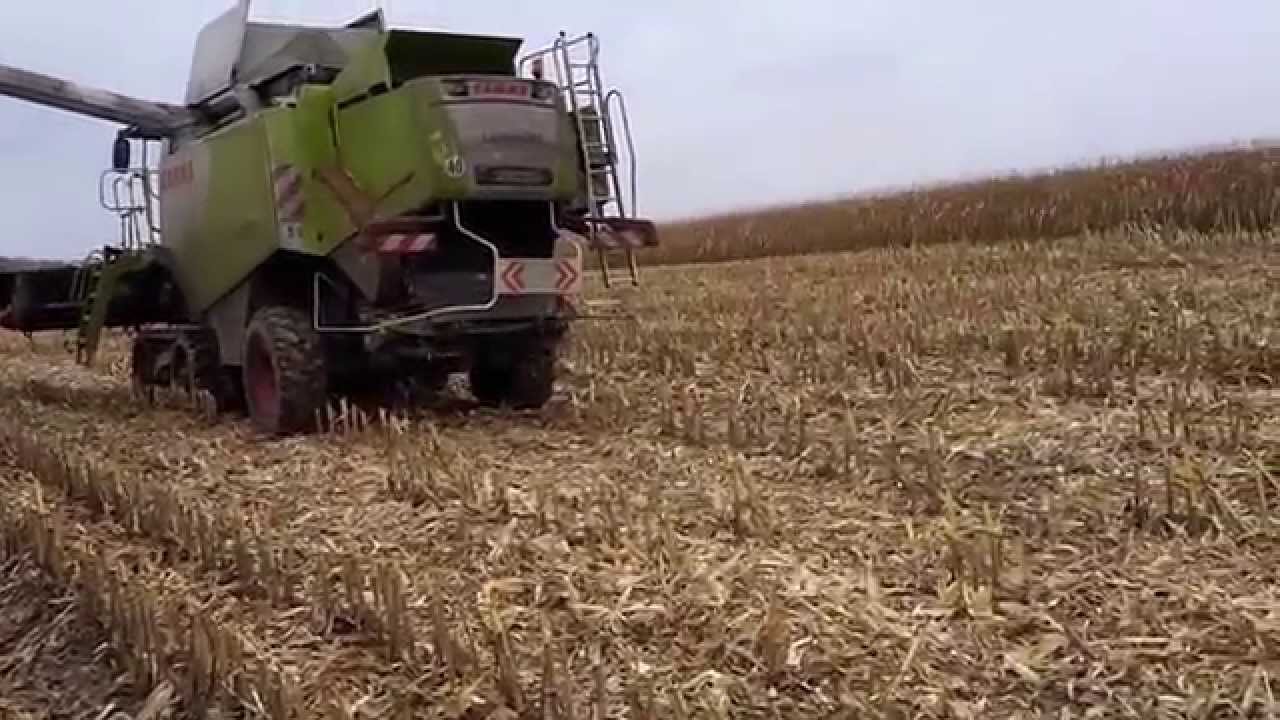 Claas Lexion 750;780 beim Maisdreschen in Niederbayern
