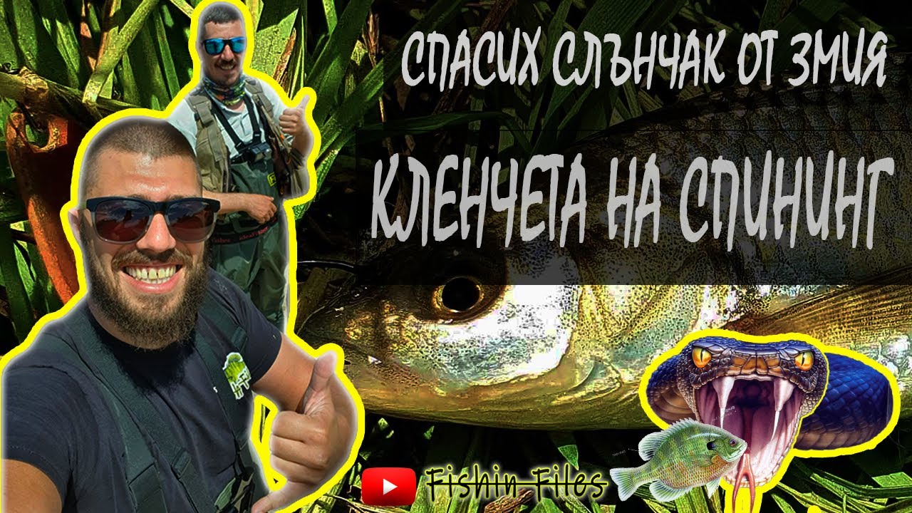 КЕФАЛИ НА МАРИЦА | СПАСИХ СИ ЛОГОТО ОТ ЗМИЯ