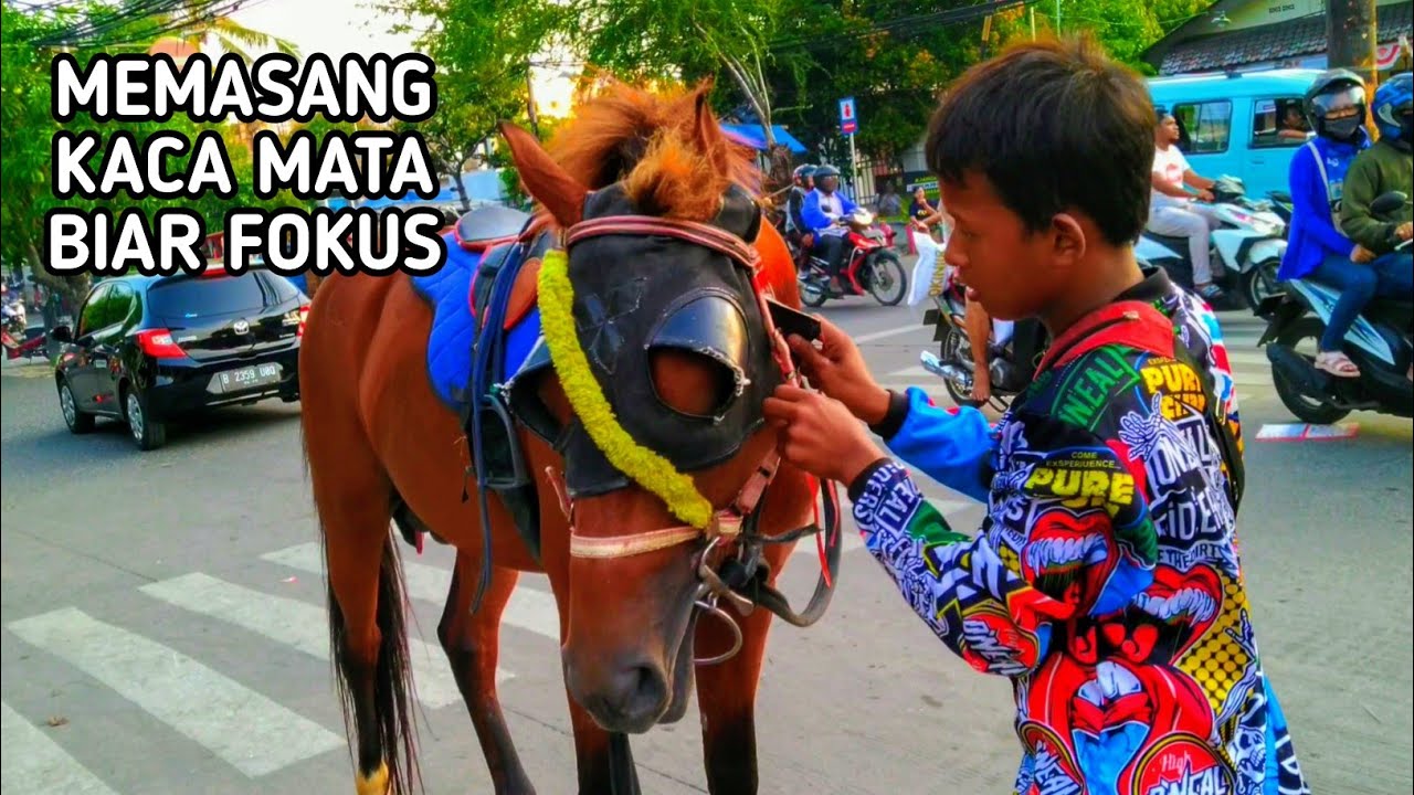 MEMASANG KACA MATA KUDA KLIWON BIAR FOKUS ~ LAGU KUDA DELMAN LIRIK TAYO