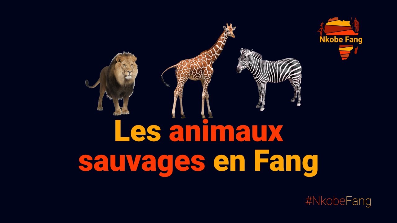 les animaux sauvages en Fang - wild animals in Fang | Nkobe Fang