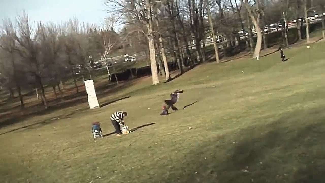 Eagle Snatches Up Baby