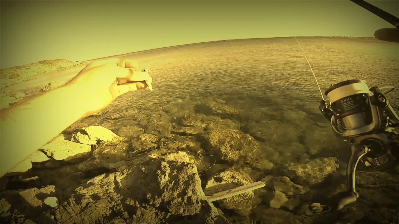 (SW)Ultralight Spinning | C&R | Carango mediterraneo