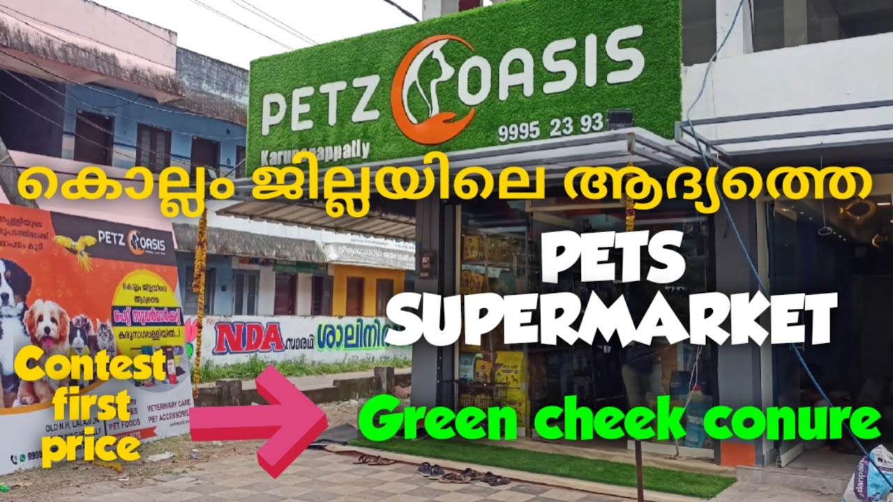 കൊല്ലത്തെ ആദ്യത്തെ pets supermarket | PETZ OASIS | Contest First Price Green Cheek conure