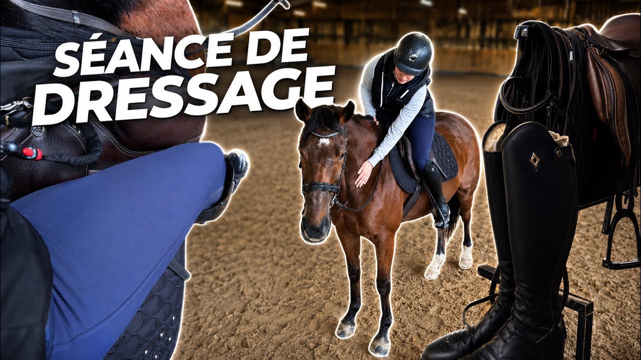 Apres le saut on commence le DRESSAGE