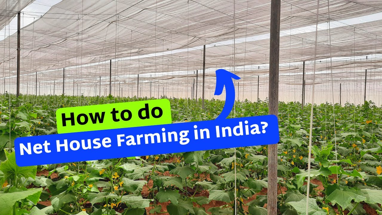 How to do Net House Farming in India?