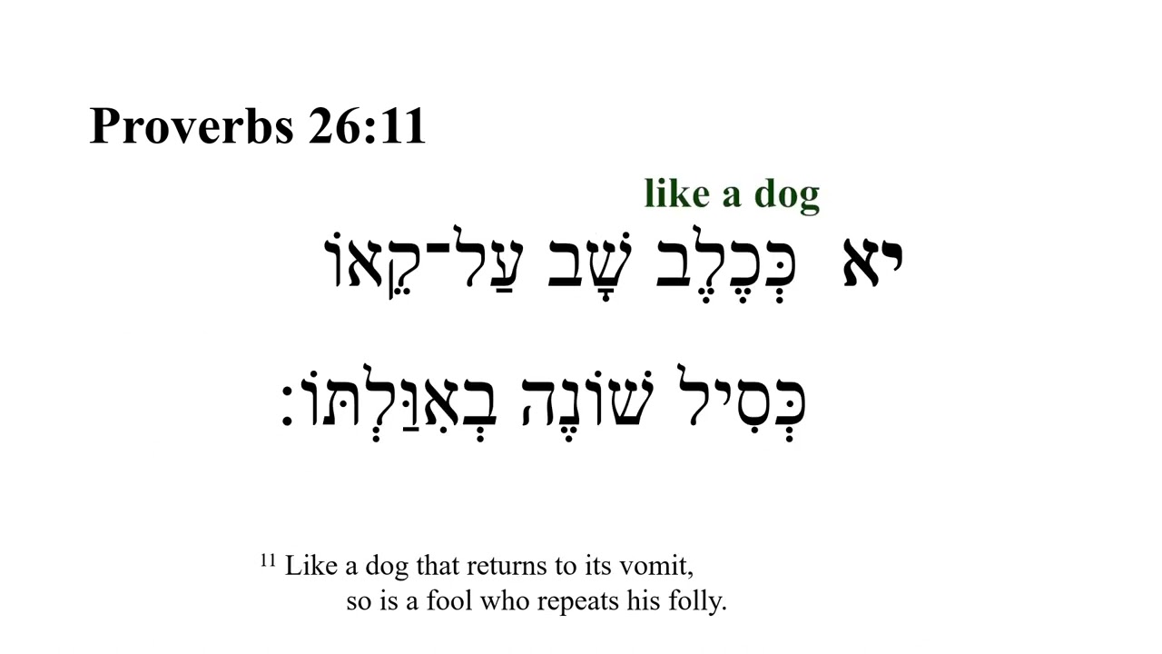 Proverbs 26 -- Hebrew Bible Speaker with English Captions