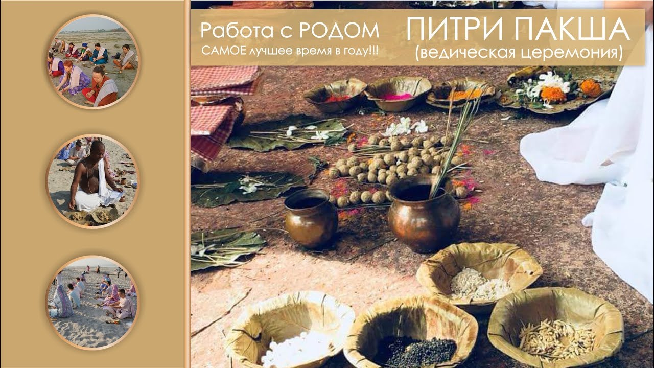 Работа с РОДОМ - Питри Пакша