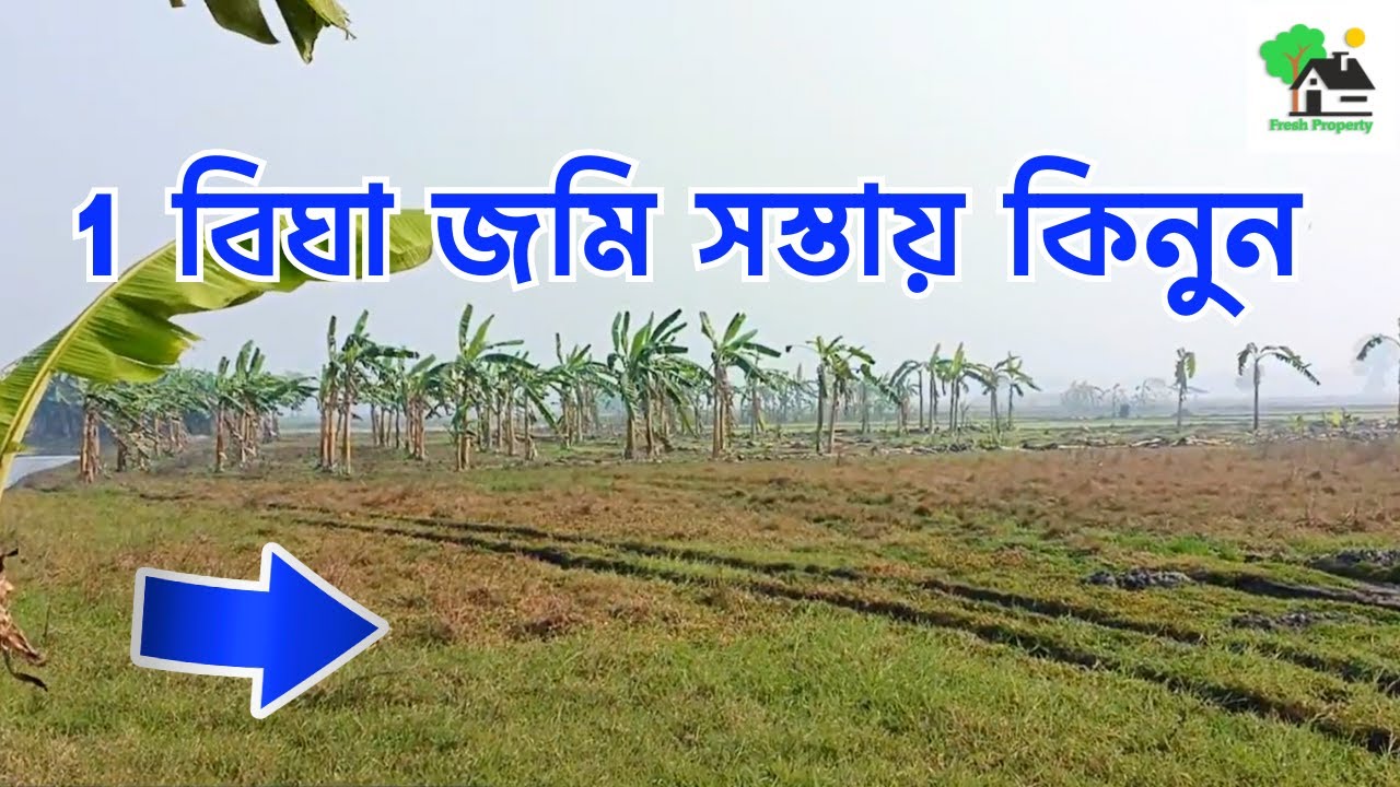 Fp - 1416 | ১ বিঘা জমি জমি সস্তায় কিনুন | 9073 145 145