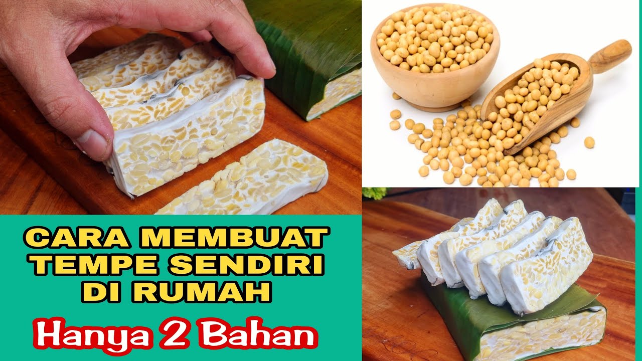 SAYA BARU TAU,  CARA BIKIN TEMPE SENDIRI DI RUMAH |  MUDAH  BANGET  |   MAKANAN SEJUTA UMAT