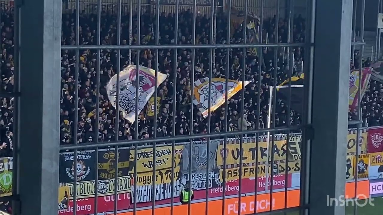 3.Liga - SV Sandhausen 1916 e.v. vs SG Dynamo Dresden - 30/11/2024