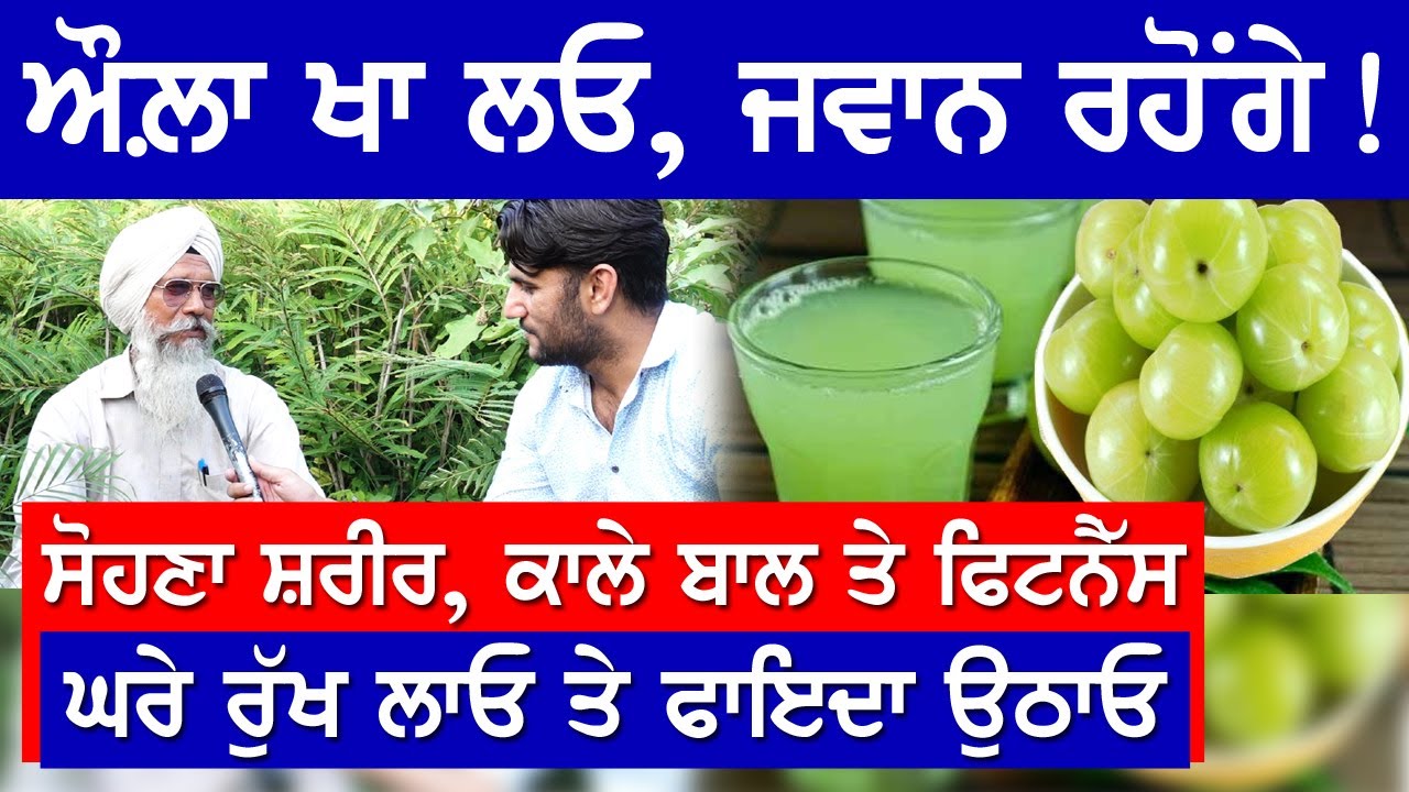 ਔਲ਼ੇ ਦਾ ਖਾਧਾ ਤੇ ਸਿਆਣੇ ਦਾ ਕਿਹਾ ਤਾਂ ਬਾਅਦ 'ਚ ਪਤਾ ਲੱਗਦਾ || Benefits Of Amla