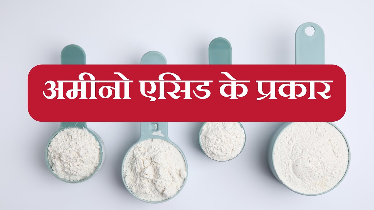 अमीनो एसिड के प्रकार [HINDI] 
