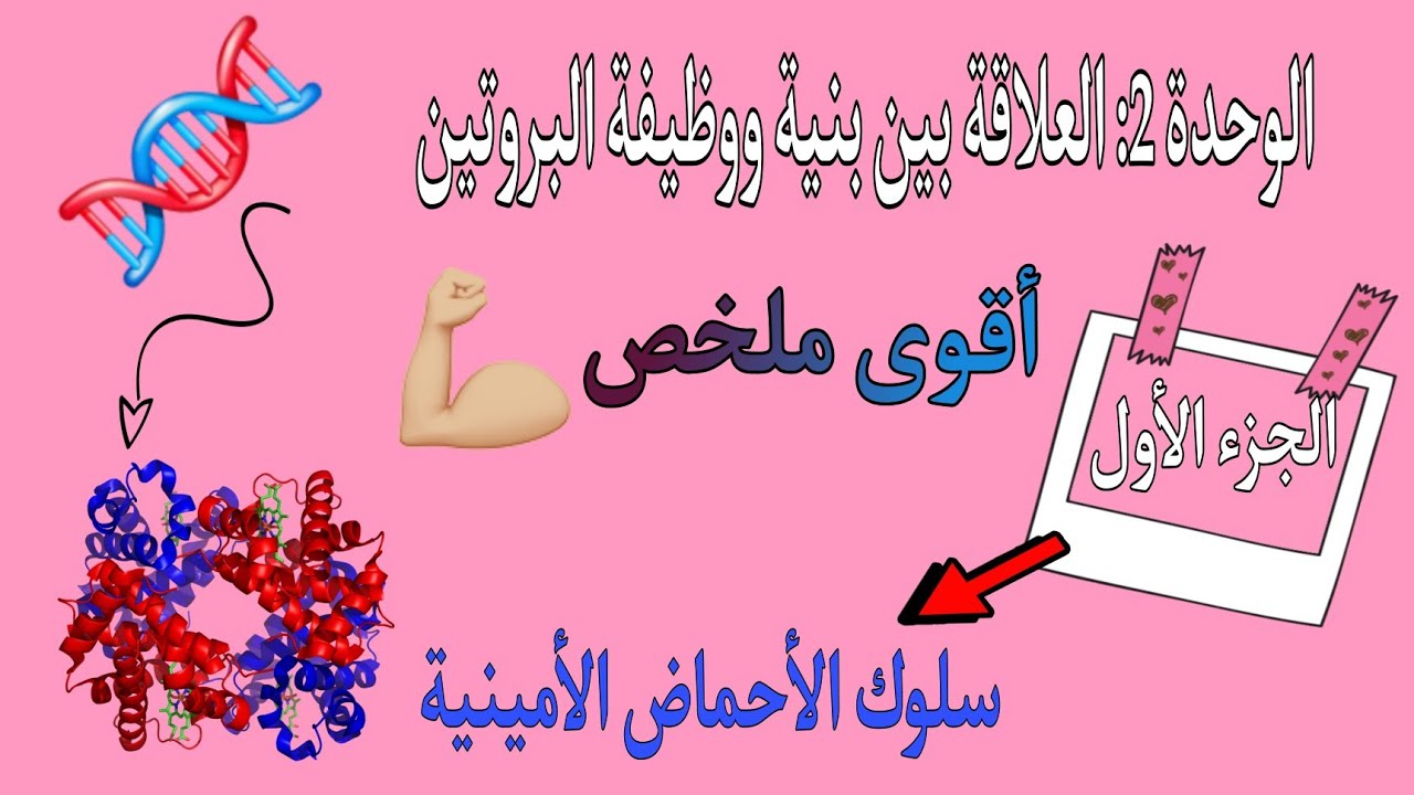 💯 وحدة العلاقة بين بنية ووظيفة البروتين|سلوك الاحماض الامينية 💪رايح تفهم بسيف عليك [بكالوريا]
