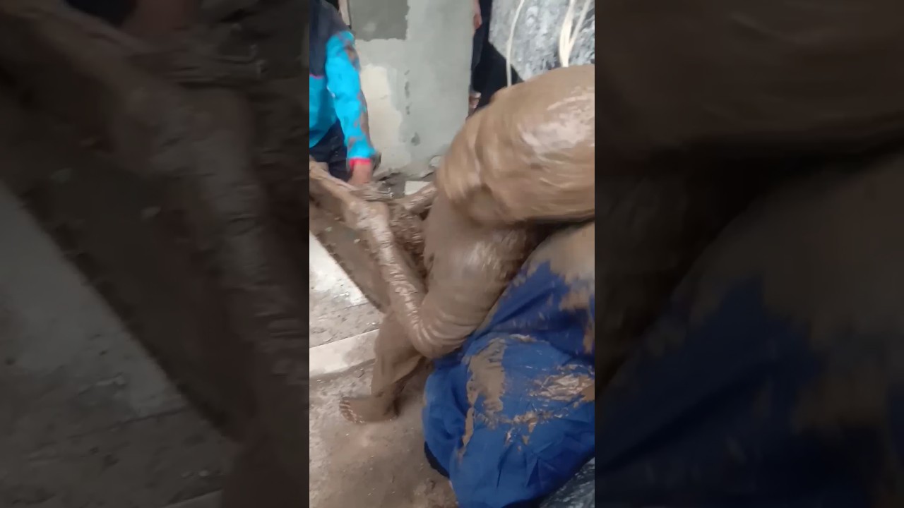 Ibu Hijabers Kena Kotor Kuda Lumping