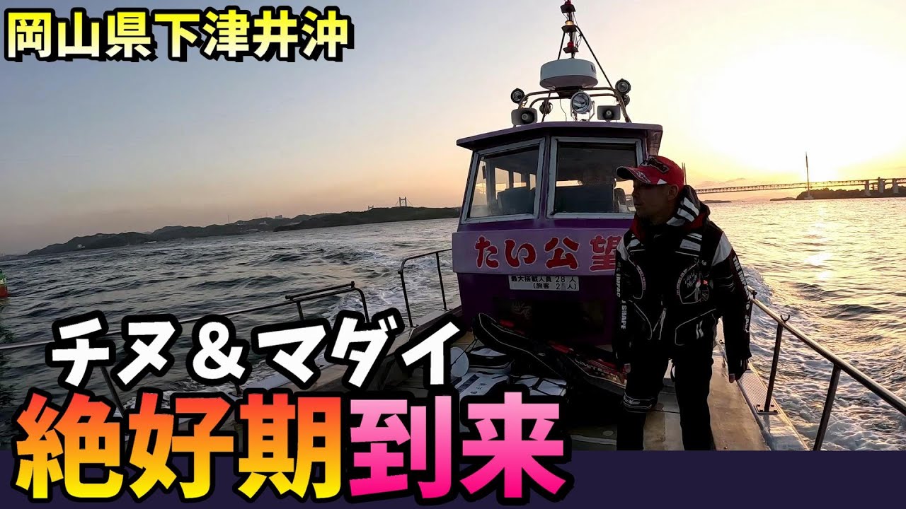 チヌ＆マダイの絶好期到来！両方狙ってみたら… in 岡山県下津井沖
