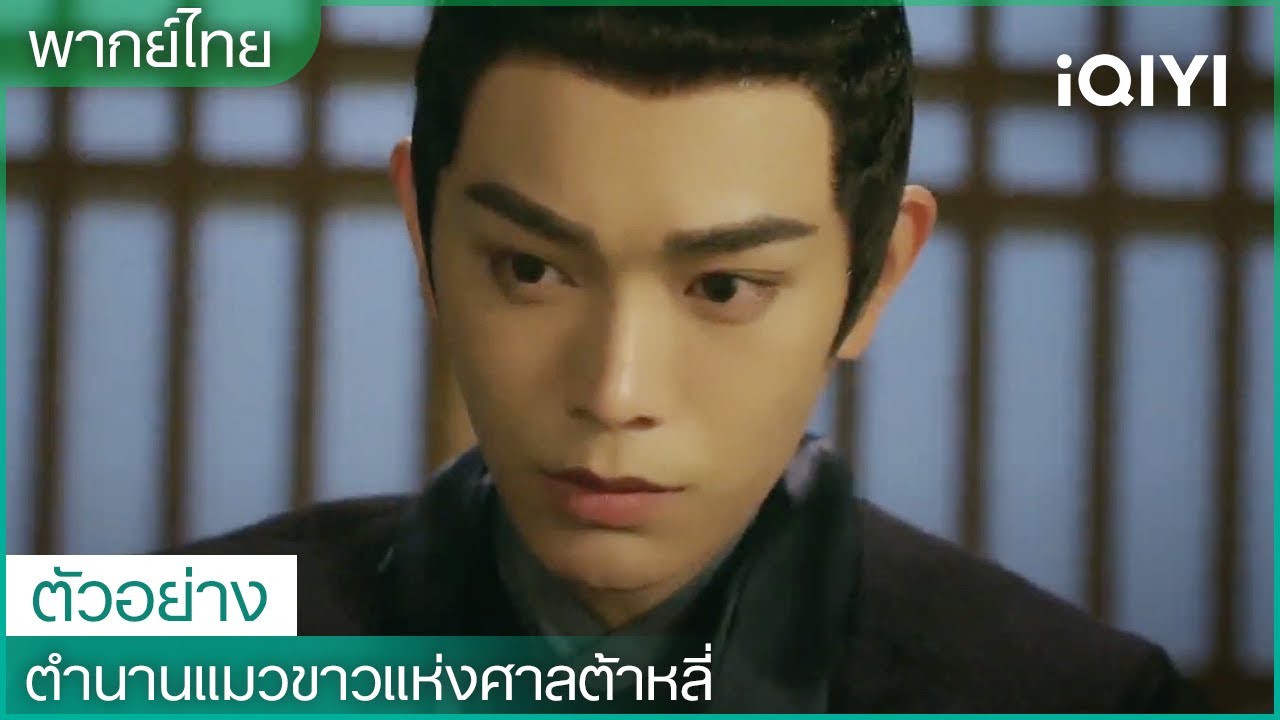 พากย์ไทย: ตัวอย่าง | ตำนานแมวขาวแห่งศาลต้าหลี่ (White Cat Legend) | iQIYI Thailand