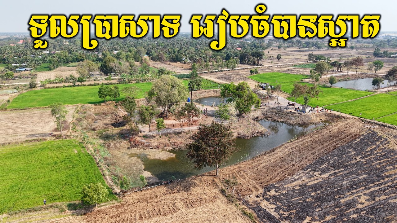 ទីទួលប្រាសាទរៀបចំបានស្អាត