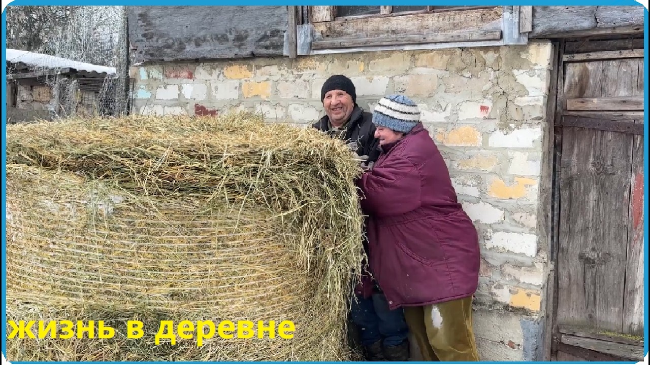 ХОЗЯЙСТВО УВЕЛИЧИЛОСЬ ТЕПЕРЬ СЕНА НУЖНО БОЛЬШЕ, ЖИЗНЬ В ДЕРЕВНЕ