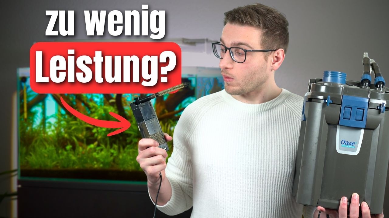 Außenfilter oder Innenfilter für dein Aquarium?