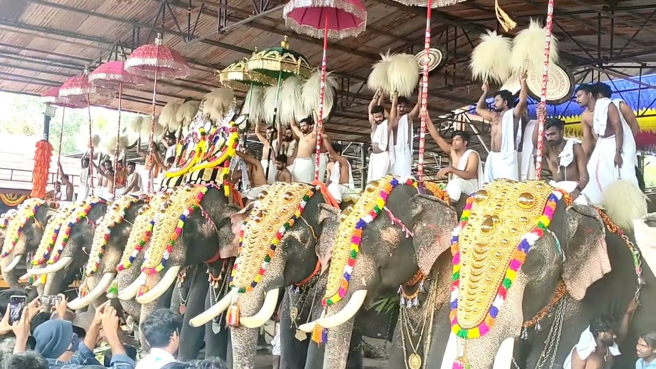 At Thuravoor temple2022 Ulsavam